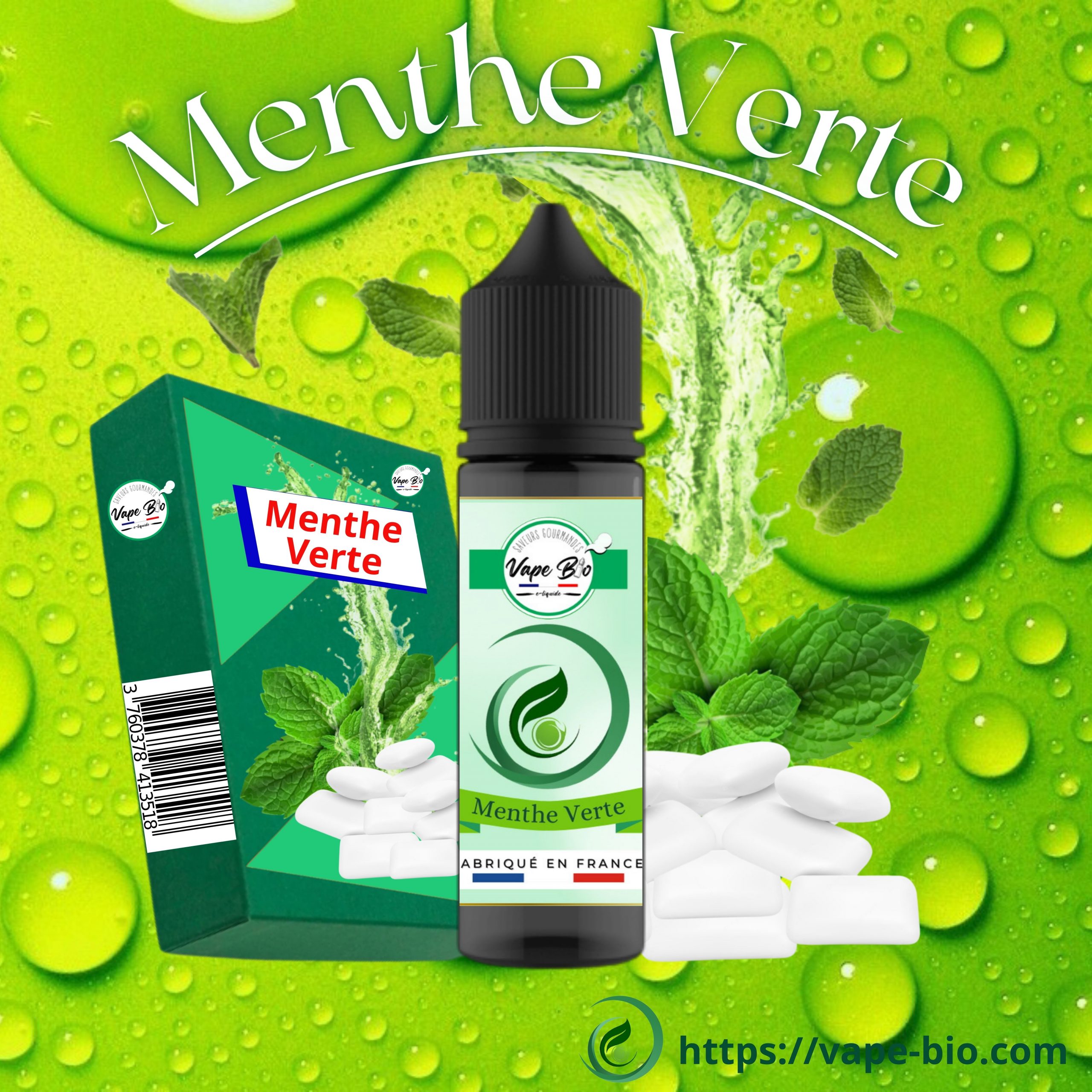 Menthe verte